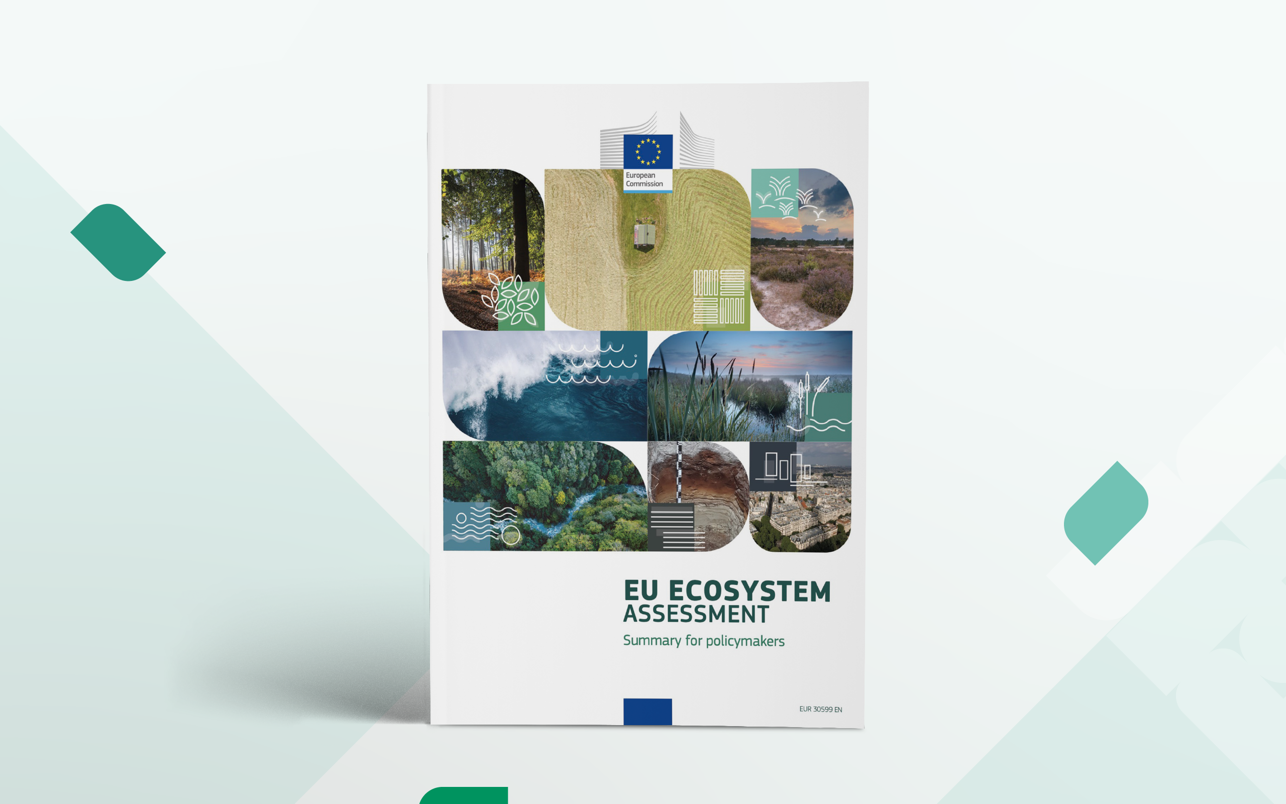 ECOSYSTEM_Tavola 1