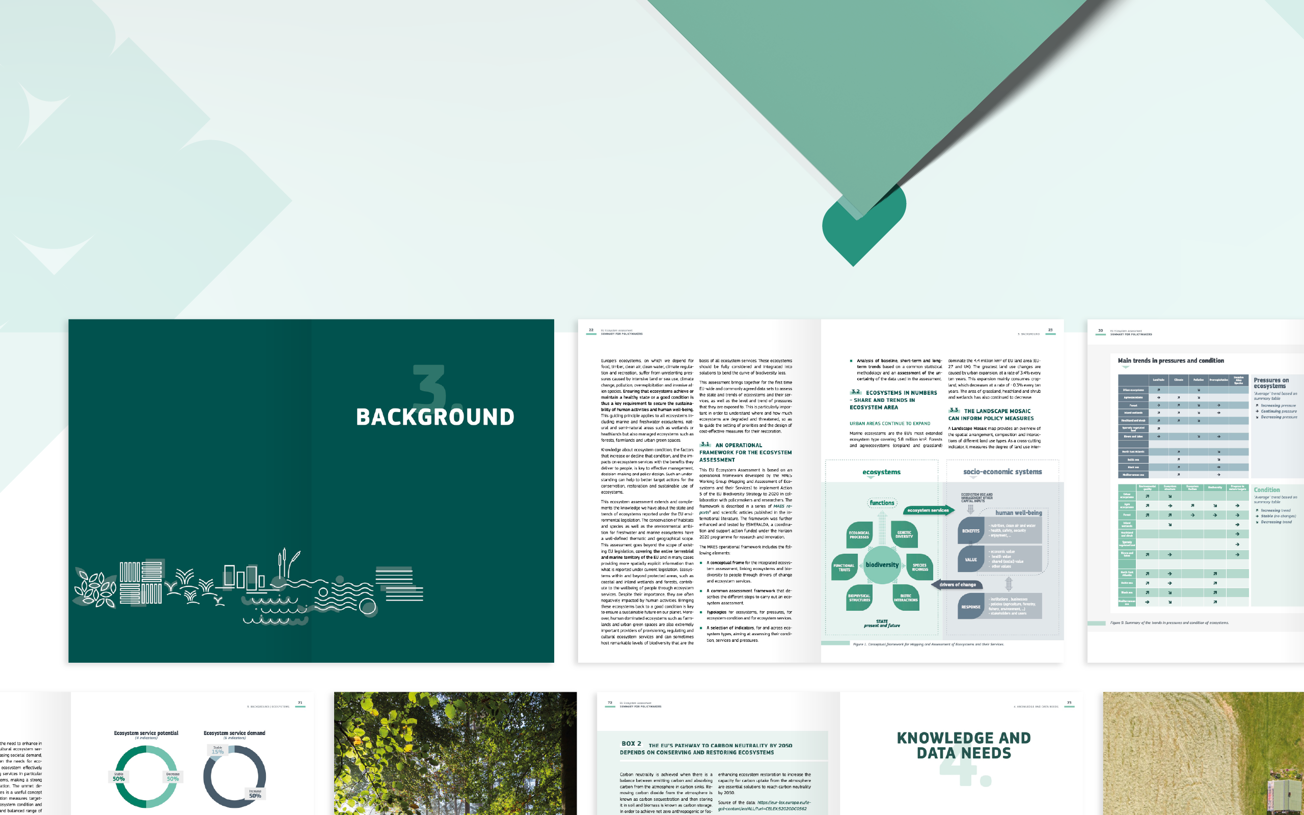 ECOSYSTEM_Tavola 3