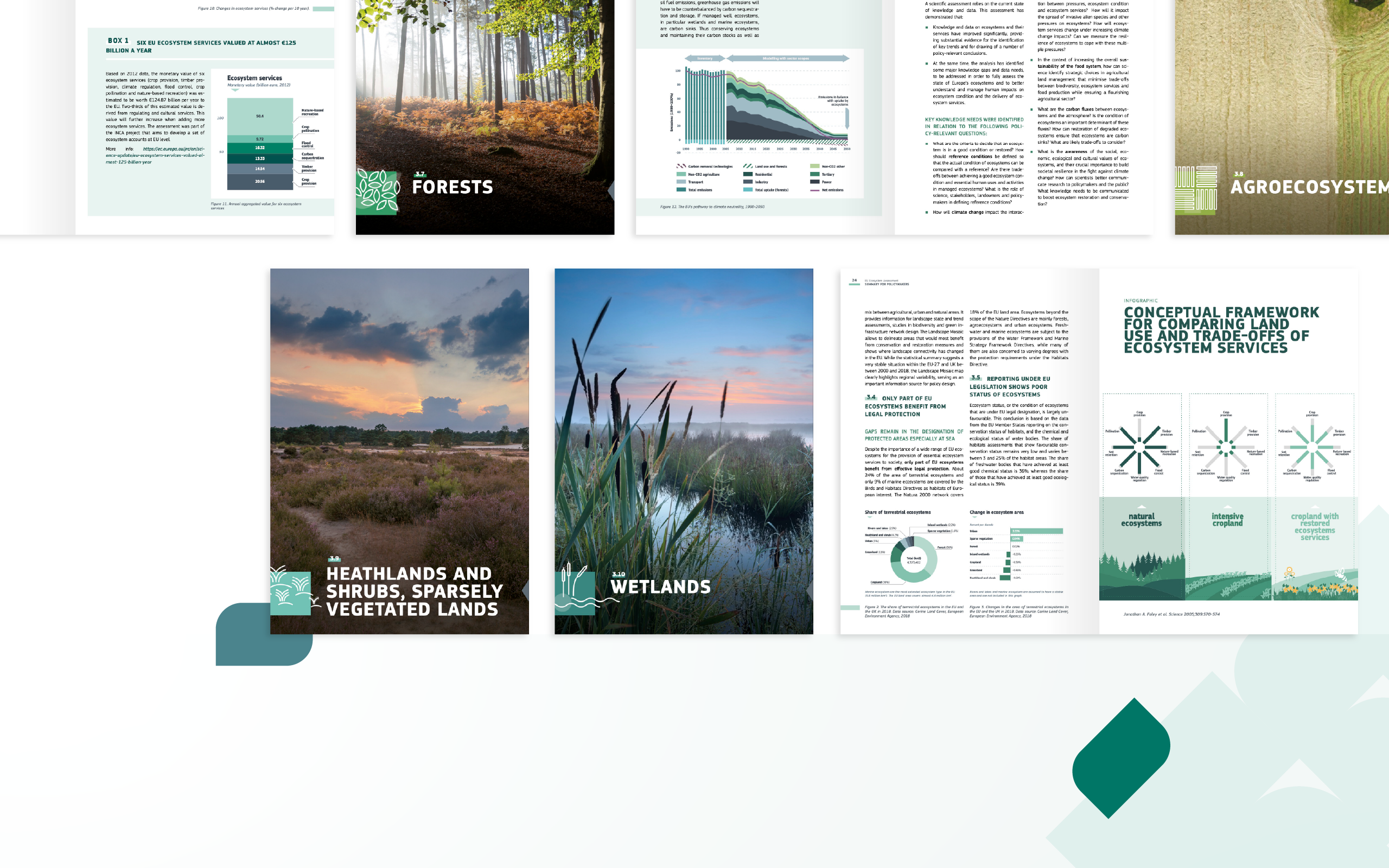 ECOSYSTEM_Tavola 4